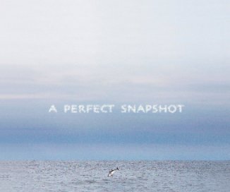 A Perfect Snapshot
(8x10) book cover