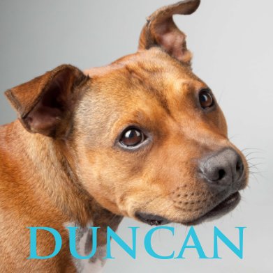 Duncan 3F book cover