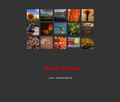 Ilan's Vision book cover