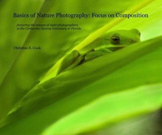 Basics of Nature Photography: Focus on Composition book cover