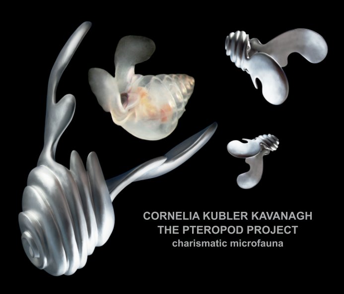 Ver The Pteropod Project: charismatic microfauna por Cornelia Kubler Kavanagh