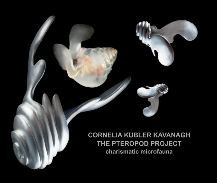 View The Pteropod Project: charismatic microfauna by Cornelia Kubler Kavanagh