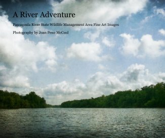 A River Adventure book cover