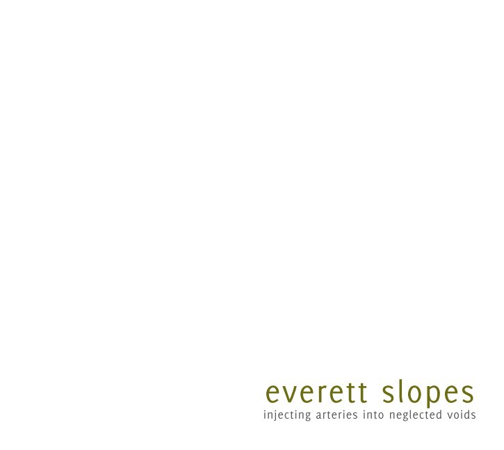 View Everett Slopes by Bobby Olsen