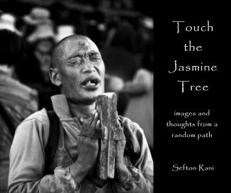 Touch the Jasmine Tree book cover