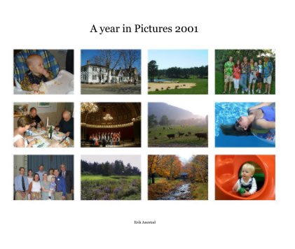 A year in Pictures 2001 book cover