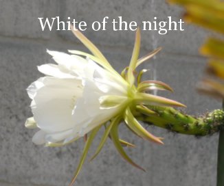White of the night book cover