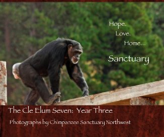 The Cle Elum Seven: Year Three book cover