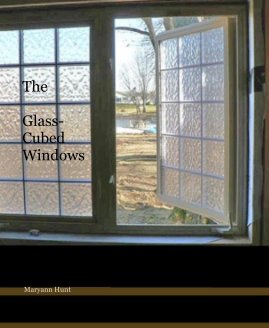 The Glass- Cubed Windows book cover