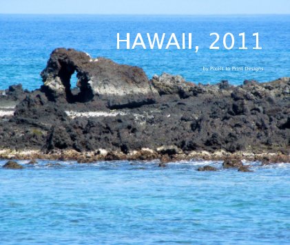 HAWAII, 2011 book cover