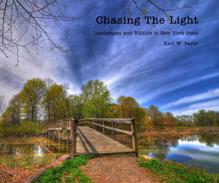View Chasing The Light by Karl W. Barth