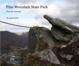 Pine Mountain State Park book cover