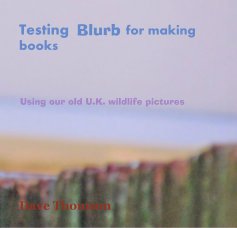 Testing Blurb for making books book cover