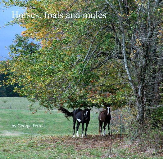 View Horses, foals and mules by George Ferrell