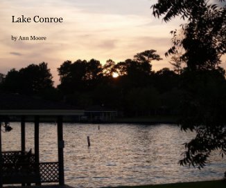 Lake Conroe book cover