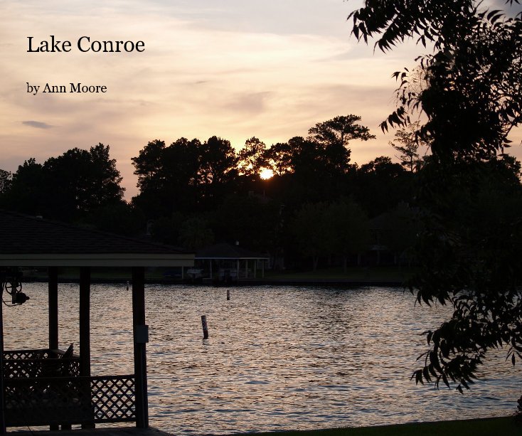 Ver Lake Conroe por Ann Moore