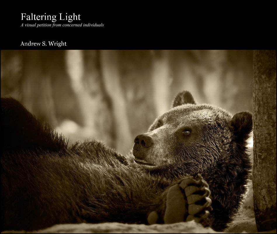 View Faltering Light II by Andrew S. Wright