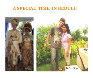 A Special Time in Bedulu. book cover