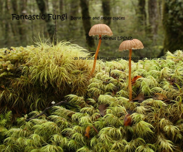 View Fantastic Fungi - Boyle river and other places by Diana Andrews LPSNZ