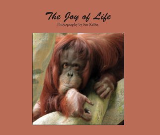Joy of Life book cover