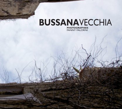 Bussana Vecchia book cover