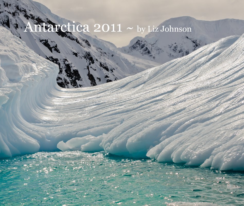 View Antarctica 2011 by Liz Johnson