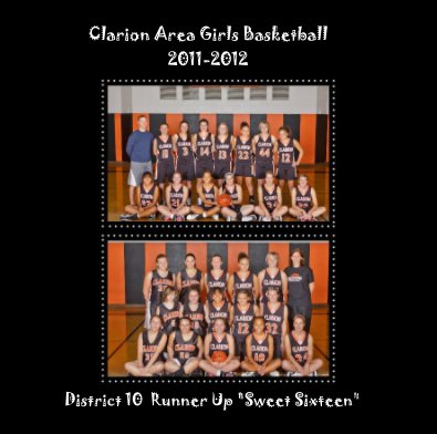 clarion girls basketball 2011 book cover