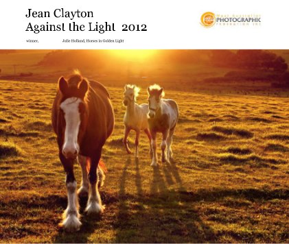 Jean Clayton Against the Light 2012 book cover