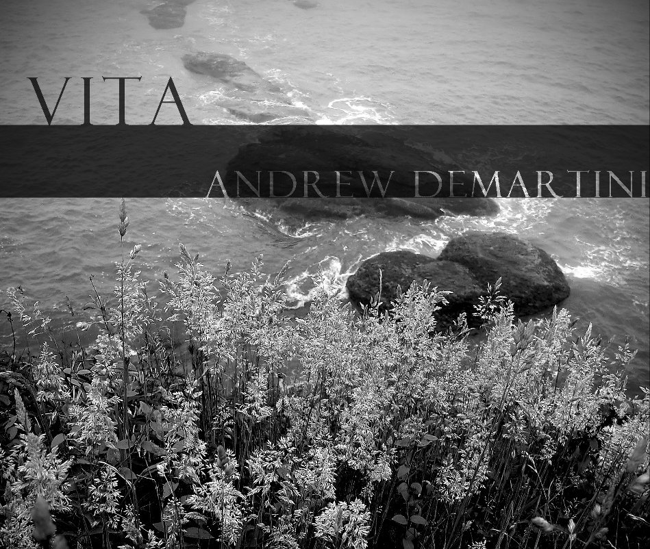 View Vita by Andrew DeMartini