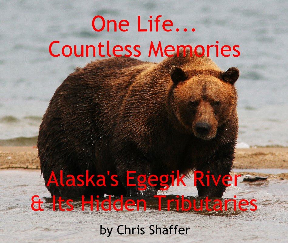Bekijk One Life... Countless Memories op Chris Shaffer