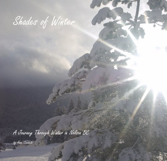 View Shades of Winter by Anne Cavicchi