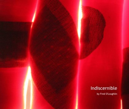 Indiscernible book cover