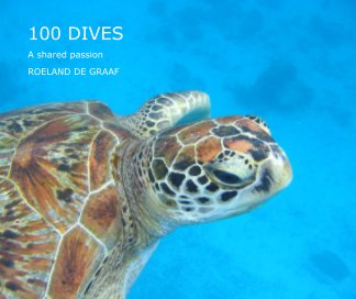 100 DIVES book cover