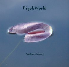 RigelsWorld book cover