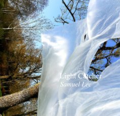 Light Catcher (small version 7) book cover