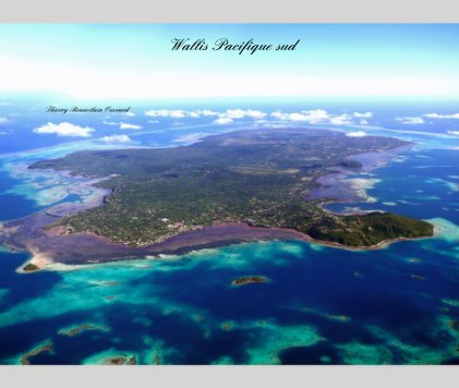 Wallis Pacifique sud book cover