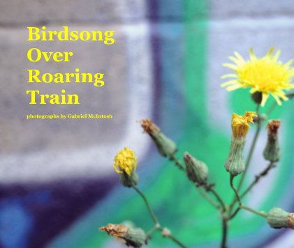 Birdsong Over Roaring Train photographs by Gabriel McIntosh book cover