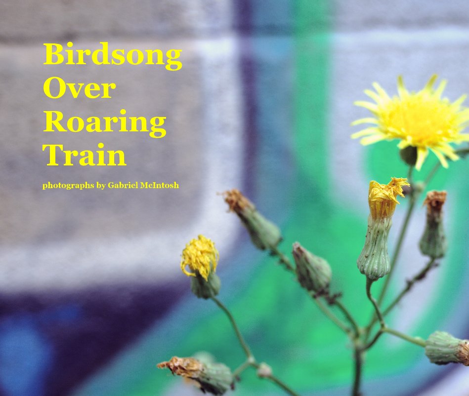 Ver Birdsong Over Roaring Train photographs by Gabriel McIntosh por Photographs by Gabriel McIntosh
