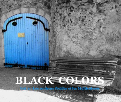 BLACK COLORS  - Vol. 2 book cover