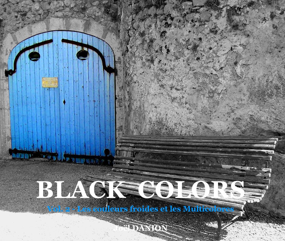 View BLACK COLORS  - Vol. 2 by Joël DANION