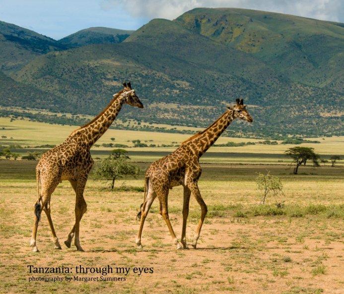 View Tanzania: through my eyes by Margaret Summers