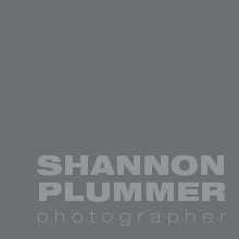 Shannon Plummer Folio II book cover