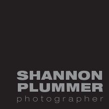 Shannon Plummer Folio III book cover