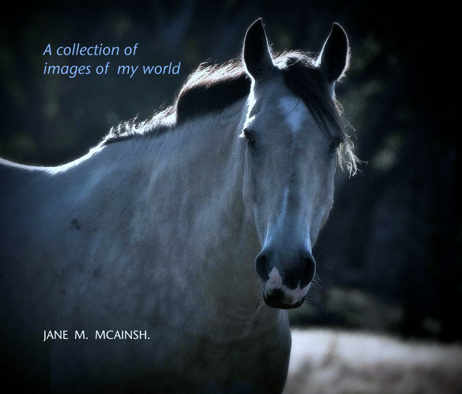 View A collection of
images of  my world by JANE  M.  MCAINSH.