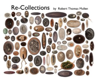 Re-Collections book cover