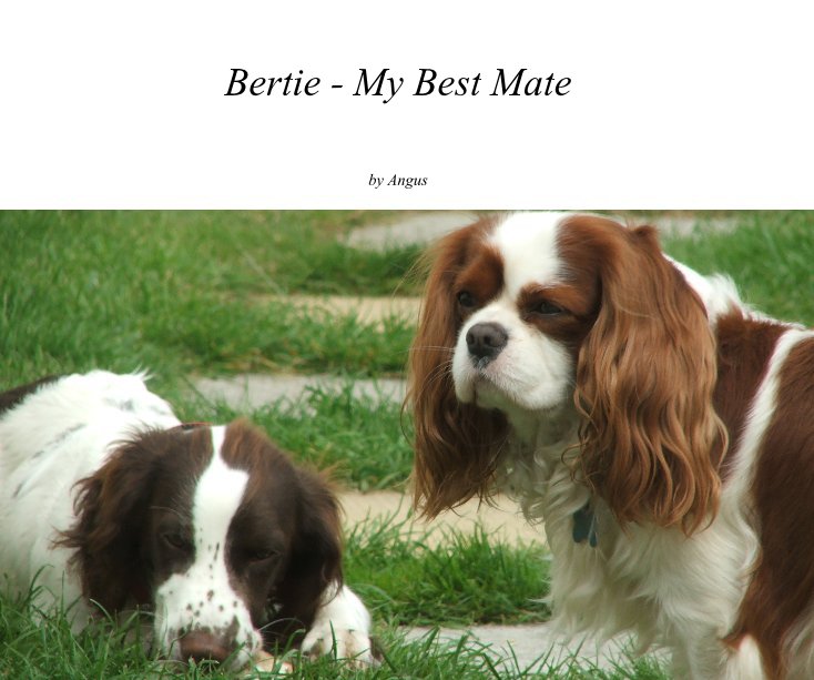 View Bertie - My Best Mate by Angus