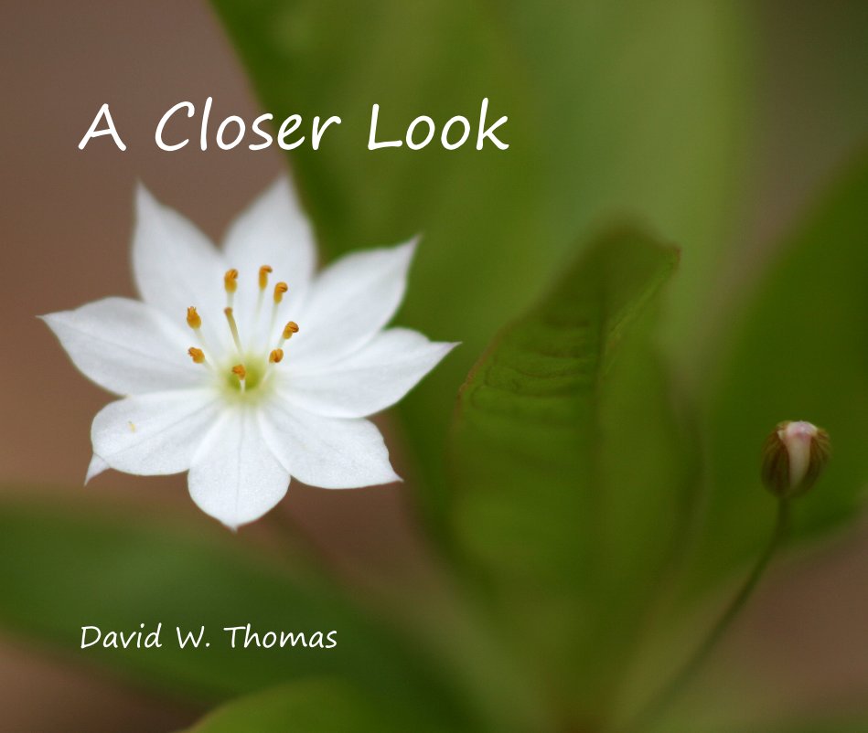 View A Closer Look by David W. Thomas