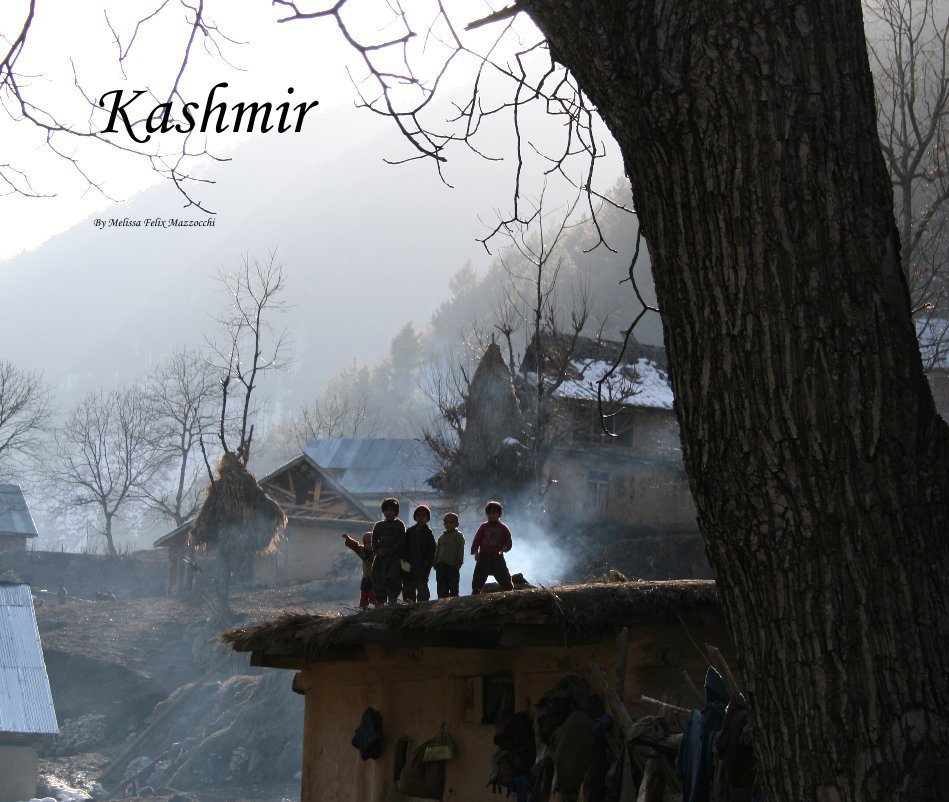 View Kashmir by Melissa Felix Mazzocchi