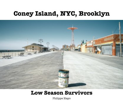 Coney Island, Low Season Survivors book cover