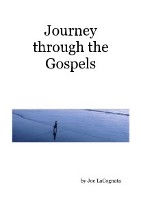 Journey through the Gospels book cover